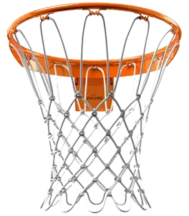 Flex Goal Basketball Rim